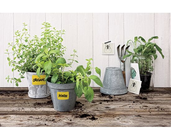 Этикетки самоклеящиеся всепогодные Living [62026] (желтые, 47.5х35 мм) фотография 5