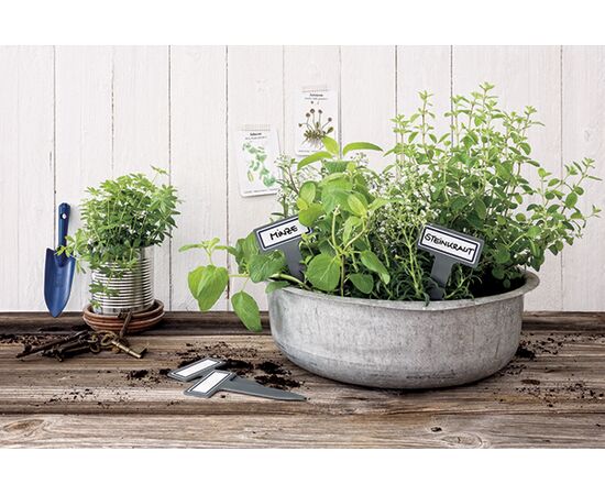 Бирки [62028] с самоклеящимися удаляемыми этикетками Living для растений (76x145мм) фотография 5