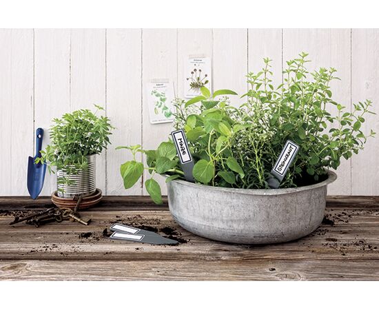 Бирки [62029] с самоклеящимися удаляемыми этикетками Living для растений (27x148мм) фотография 5