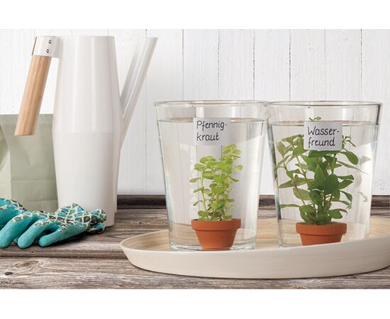 Самоклеящиеся этикетки Living [62031] (металлизированные, 47.5x35 мм) фотография 5