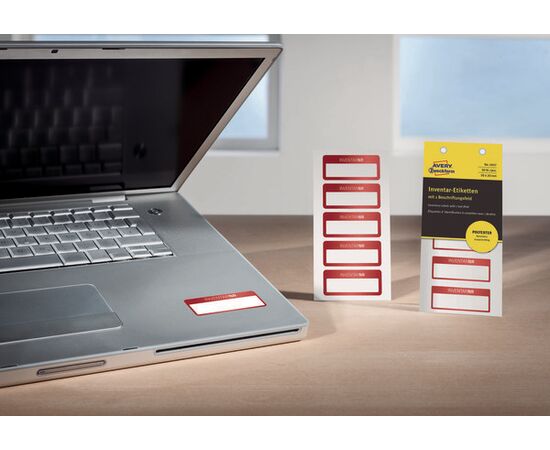 Полиэстерные инвентарные этикетки [6907] (серебристые с красной рамкой, 50х20 мм) фотография 5