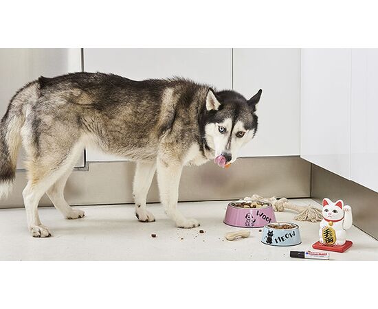 Маркер перманентный EDDING [E-500/3] (синий, 2-7 мм, скошенный наконечник) фотография 3