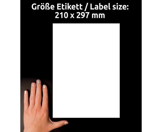 Суперпрочные пленочные этикетки [L7917-10] ( 210х297 мм) фотография 5