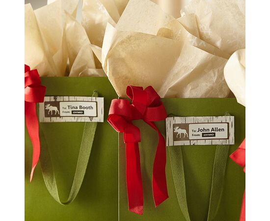 Адресные этикетки разноцветные [S0722380/99011] для принтеров серии Label Writer (желтый, розовый, синий, зеленый, 89х28 мм) фотография 2