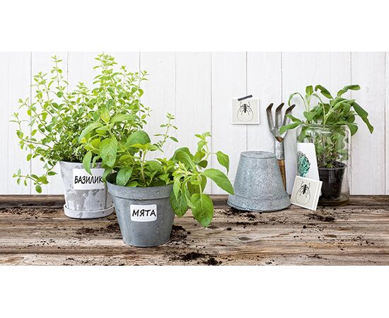 Этикетки самоклеящиеся всепогодные Living [62025] (белые, 47.5х35 мм) фотография 5