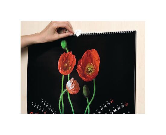 Съемные крючки Tesa Powerstrips [T58217-00000-00] для картин, рамок на клейкой полоске (до 1 кг, 2 шт) фотография 7